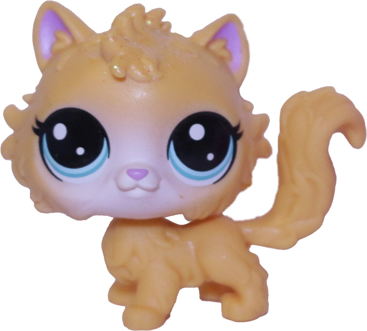 #45 Cat "Daffodil Selkirk"