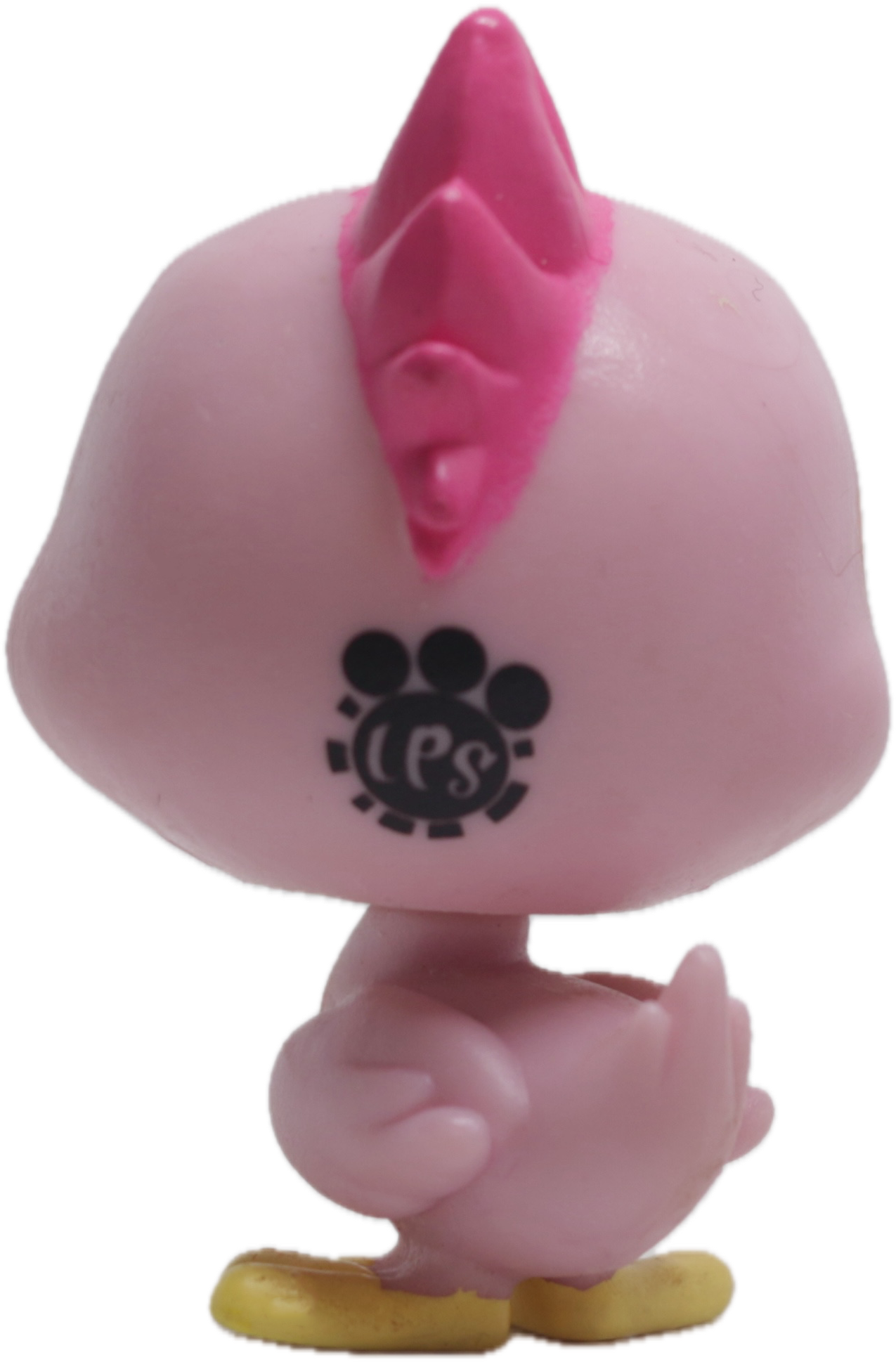 LPS #60 Pelican
