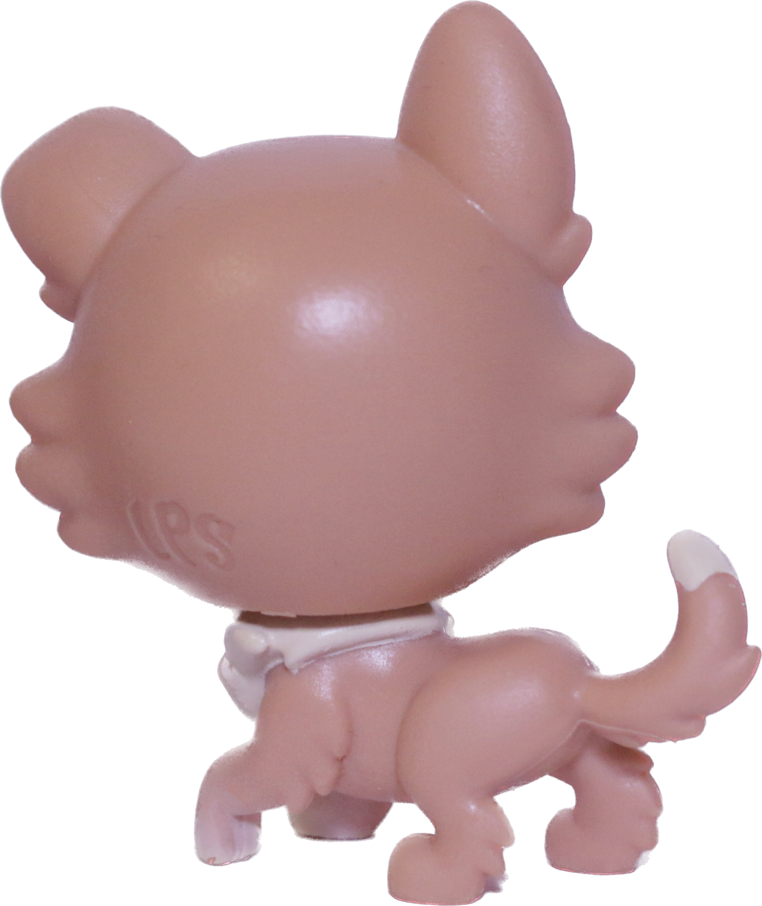 #94 Shiba Inu "Freesia Fuzzyface"