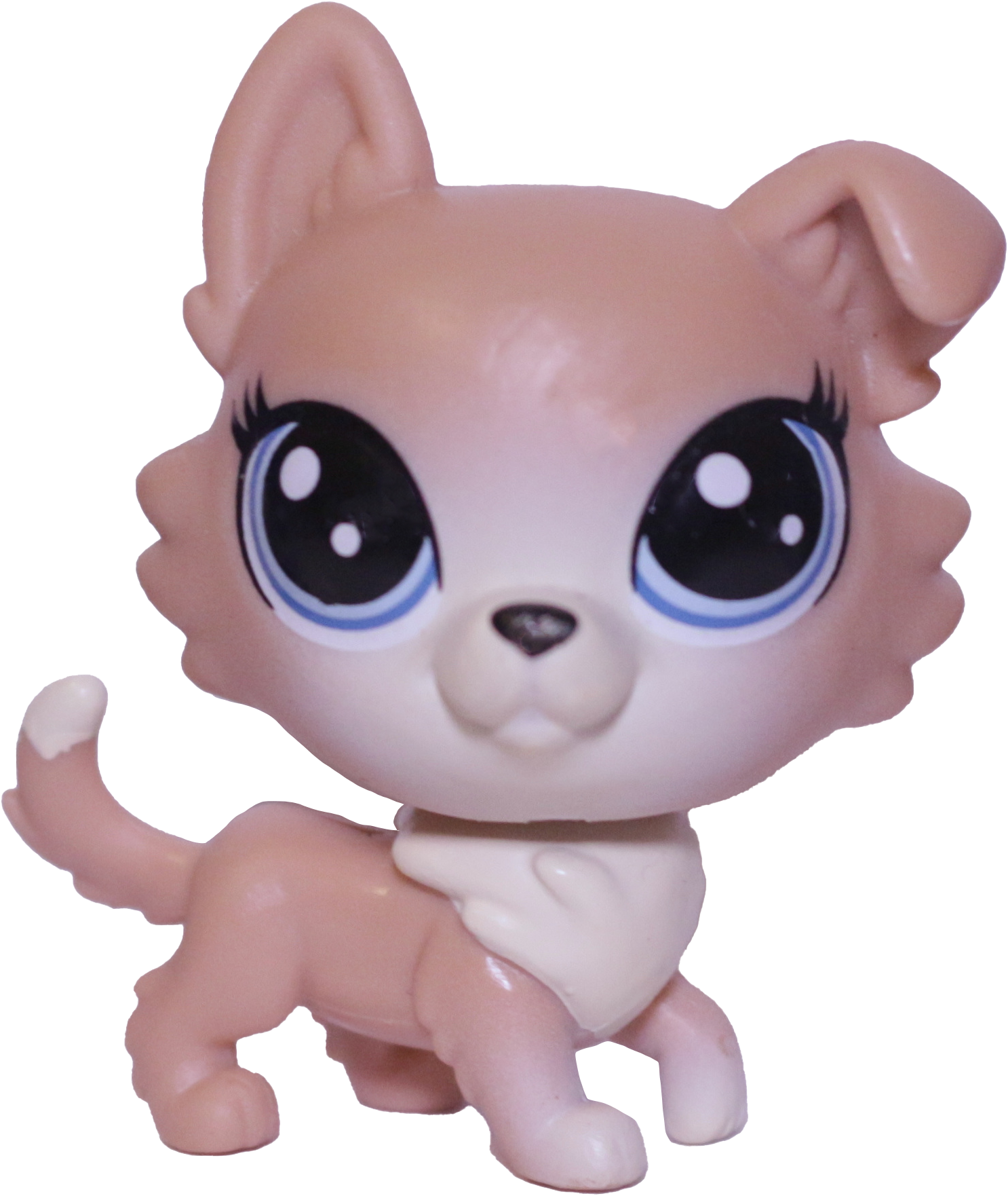 #94 Shiba Inu "Freesia Fuzzyface"