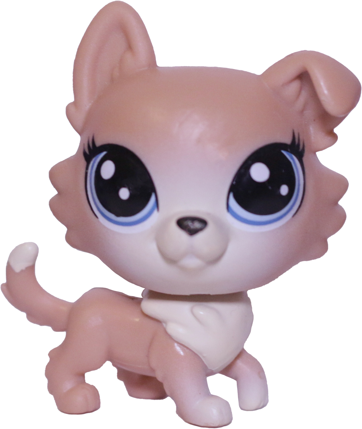 #94 Shiba Inu "Freesia Fuzzyface"