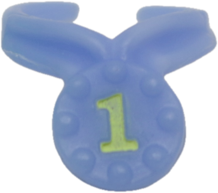 Award Ribbon
