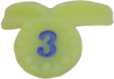 Award Ribbon