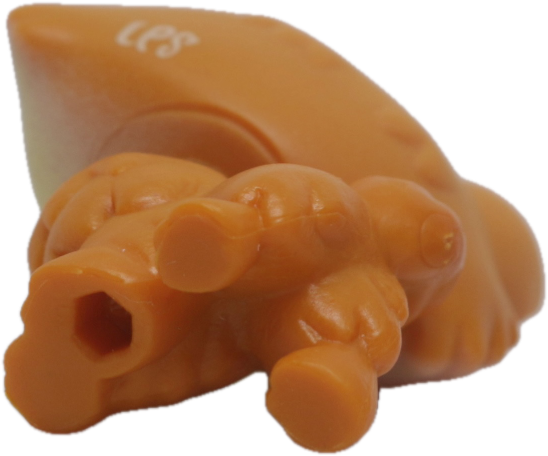 LPS G7 #077 Pomeranian