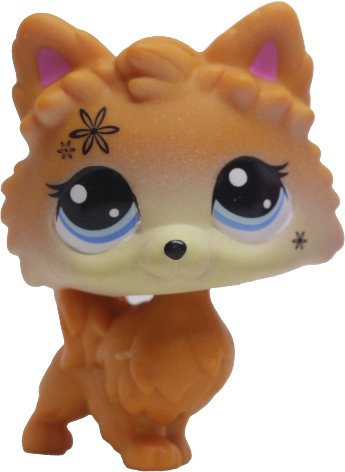 LPS G7 #077 Pomeranian