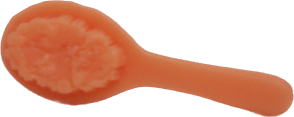 Hair Brush