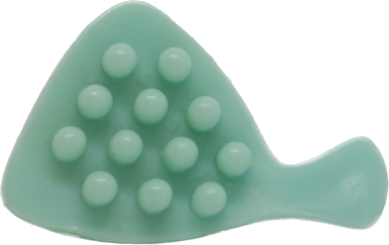 Hair Brush