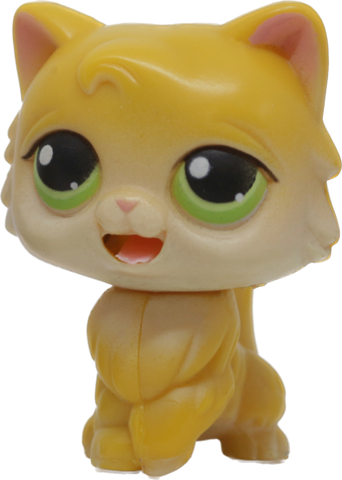 #MM1 Persian Cat