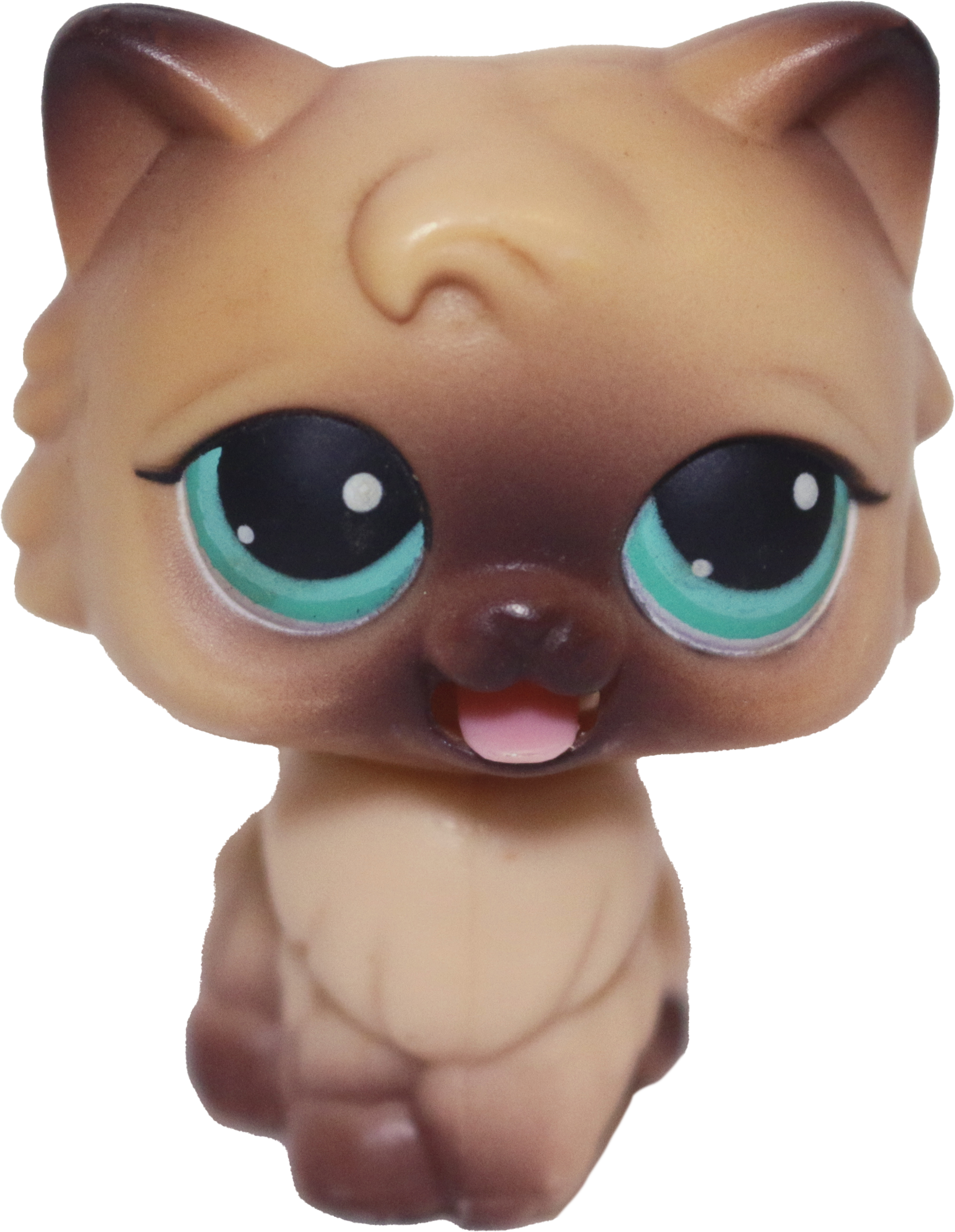 #MM3 Persian Cat