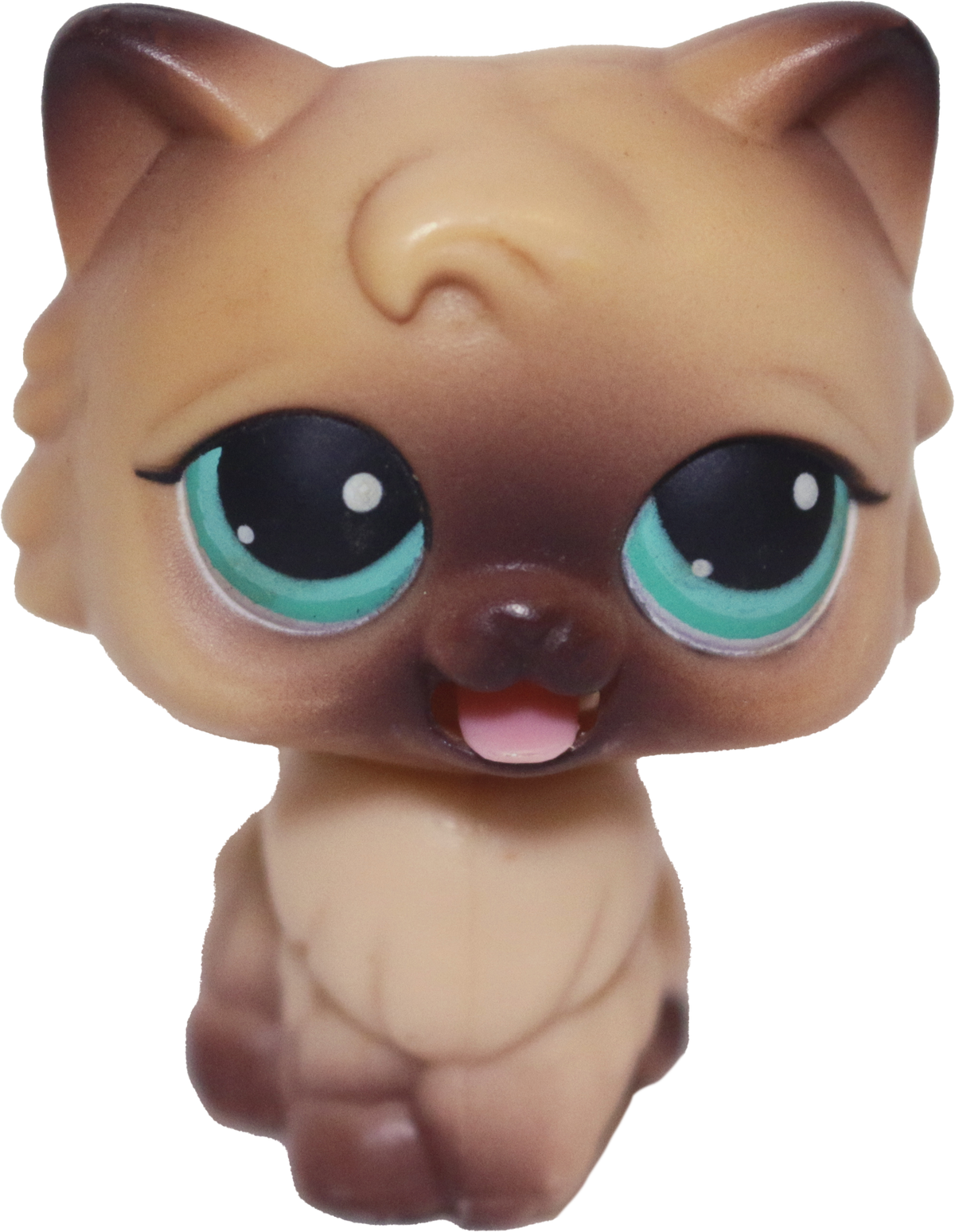#MM3 Persian Cat