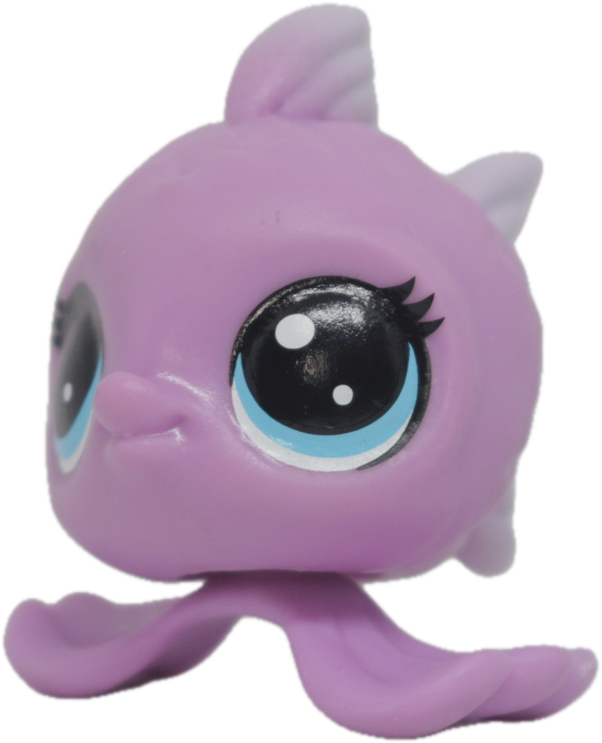 LPS No # Angelfish