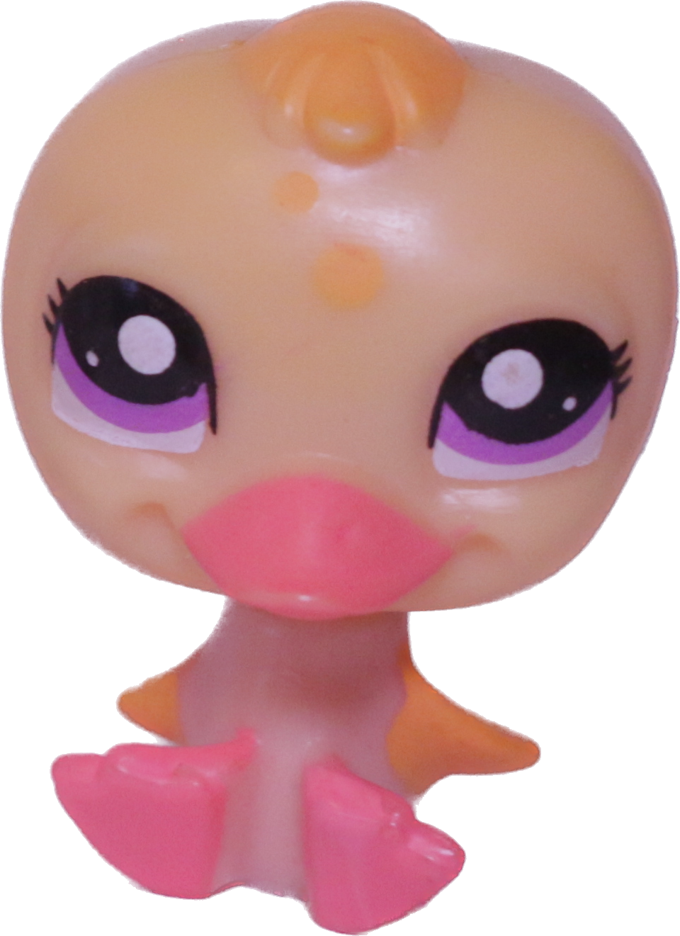 No # Duck