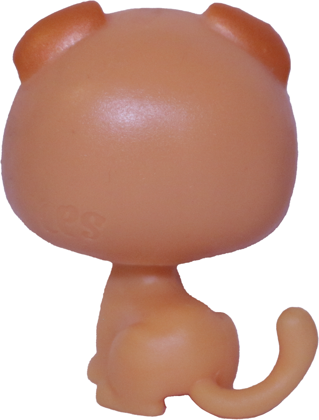 No # Fold Cat "Arturo"