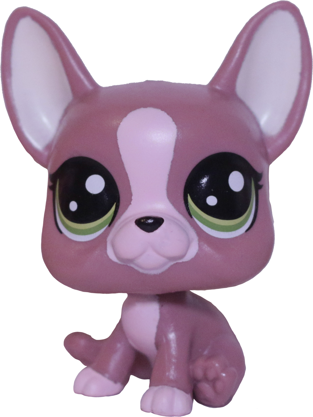 No # French Bulldog "Morning Dew"