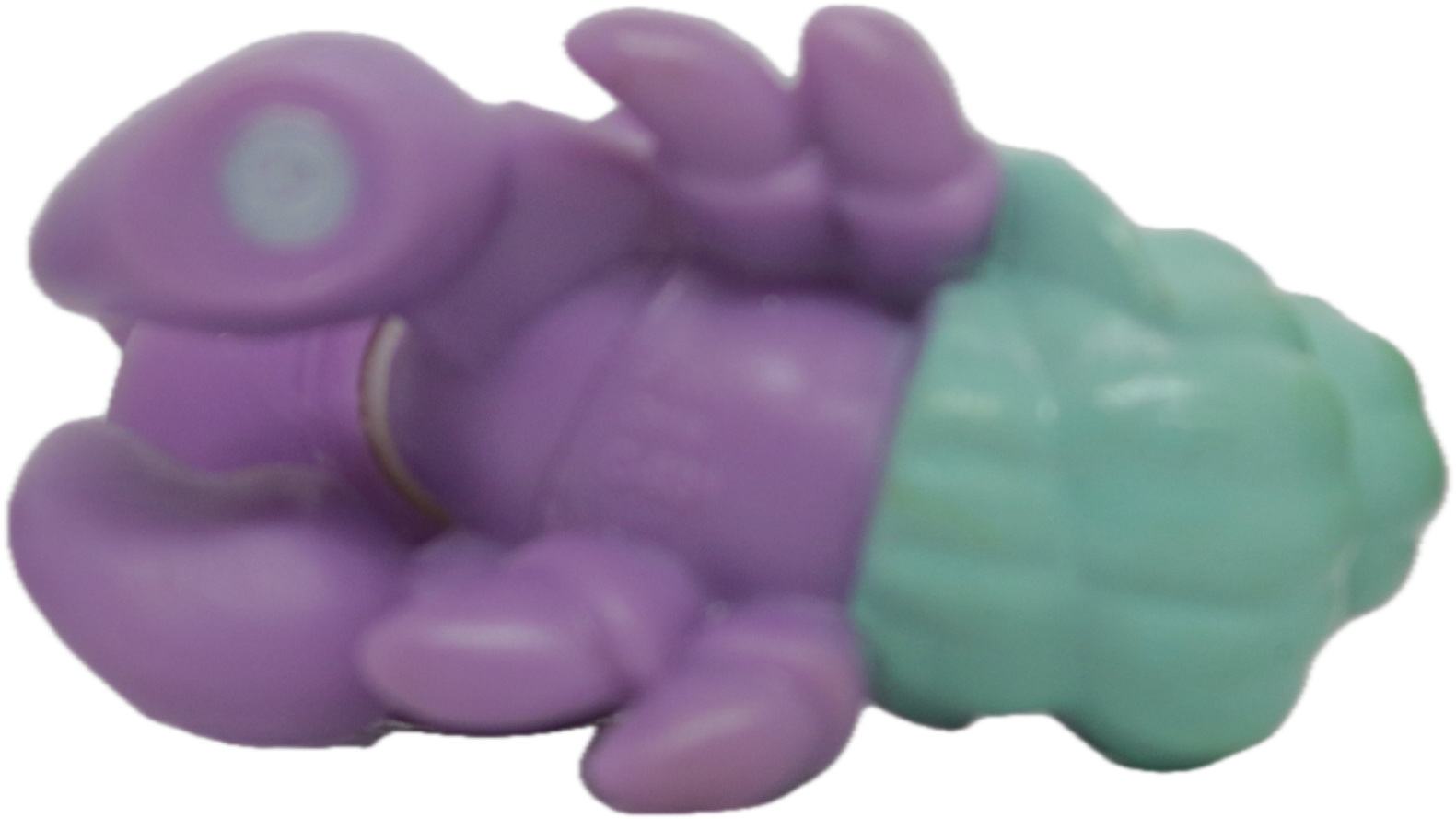 LPS No # Hermit Crab