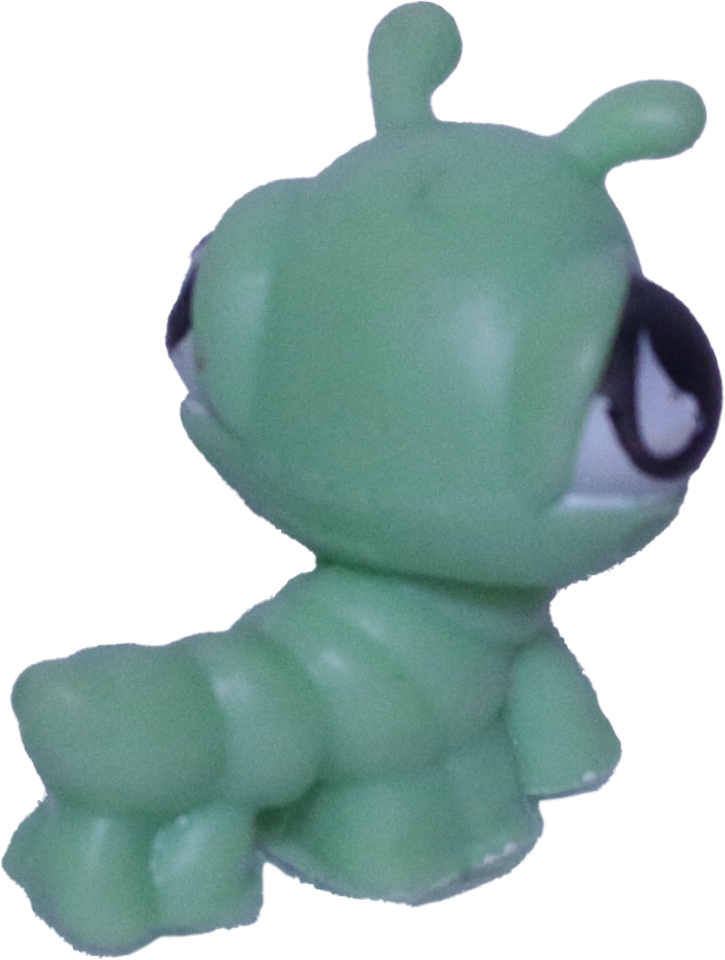 No # Inchworm