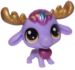 No # Moose "Cady"
