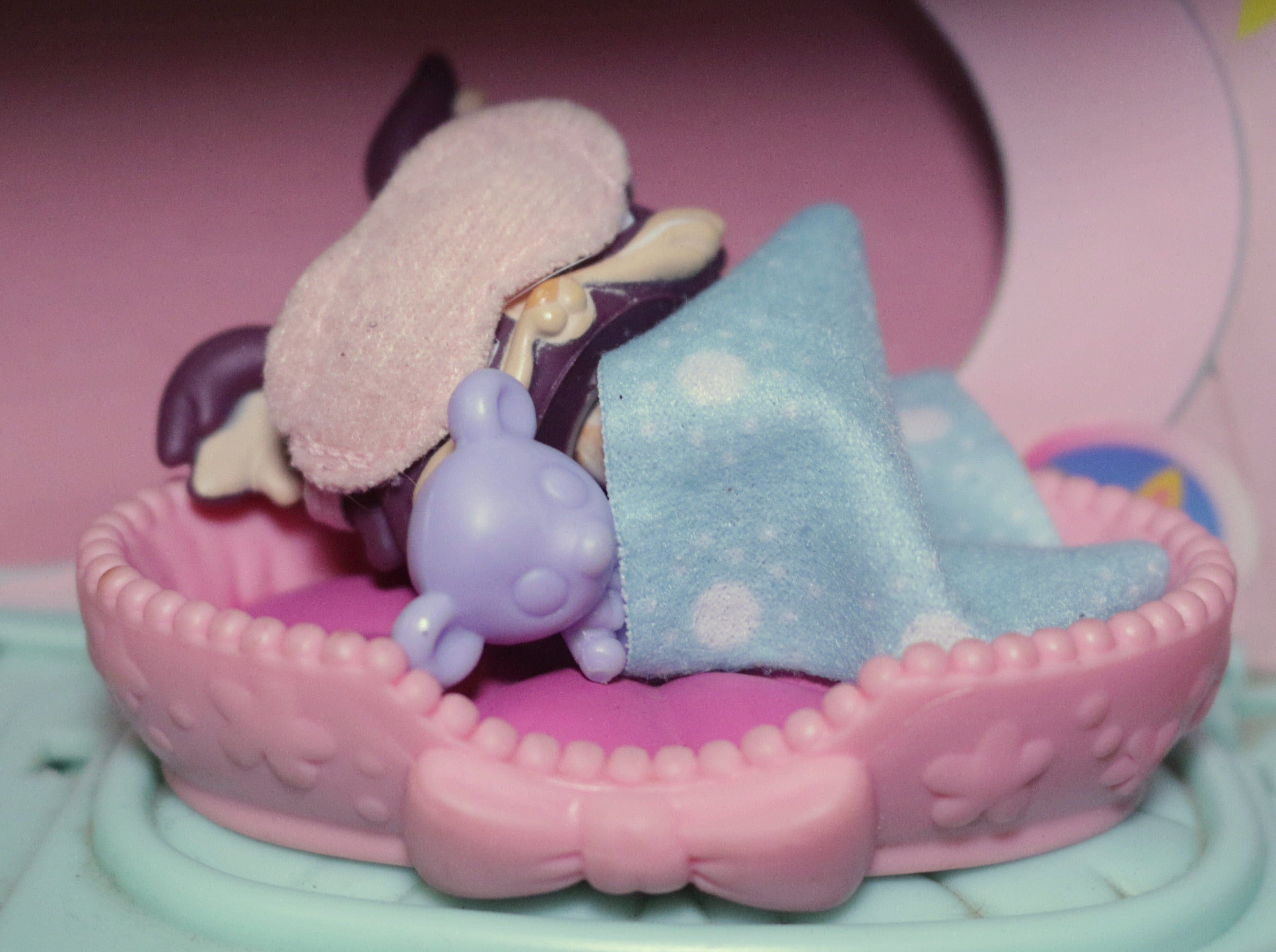 Pet Bed