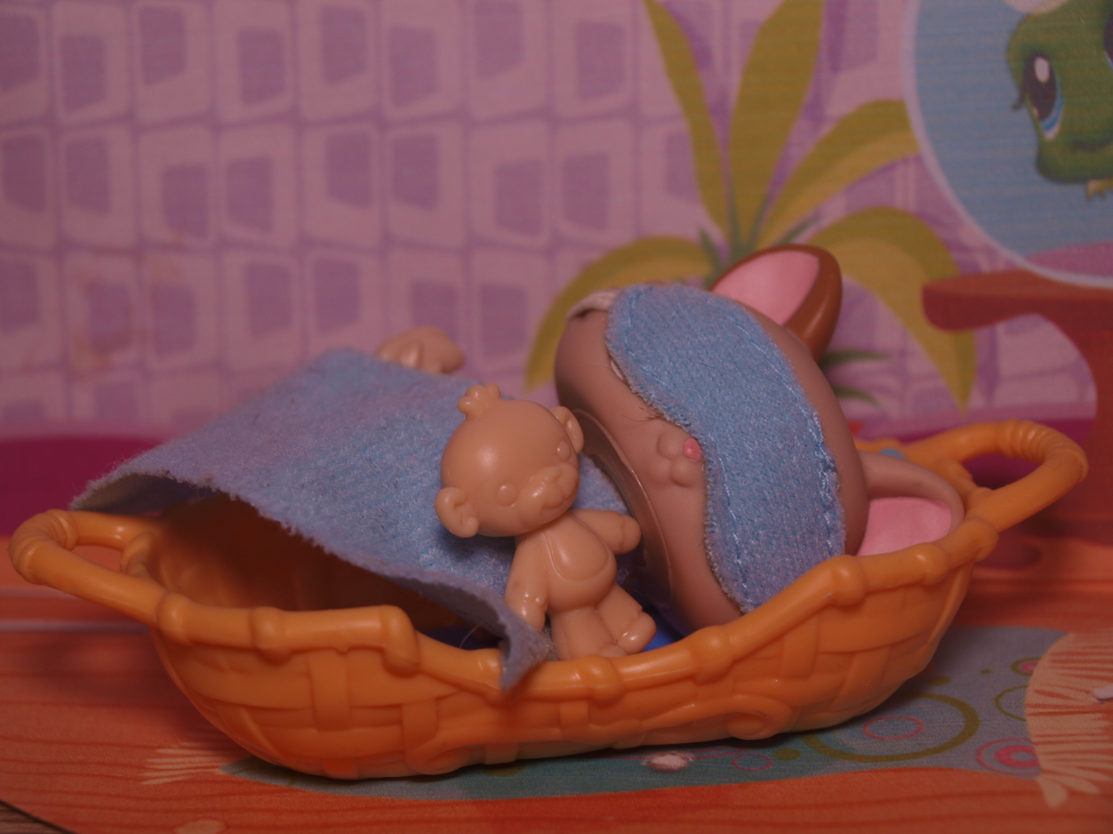 Pet Bed