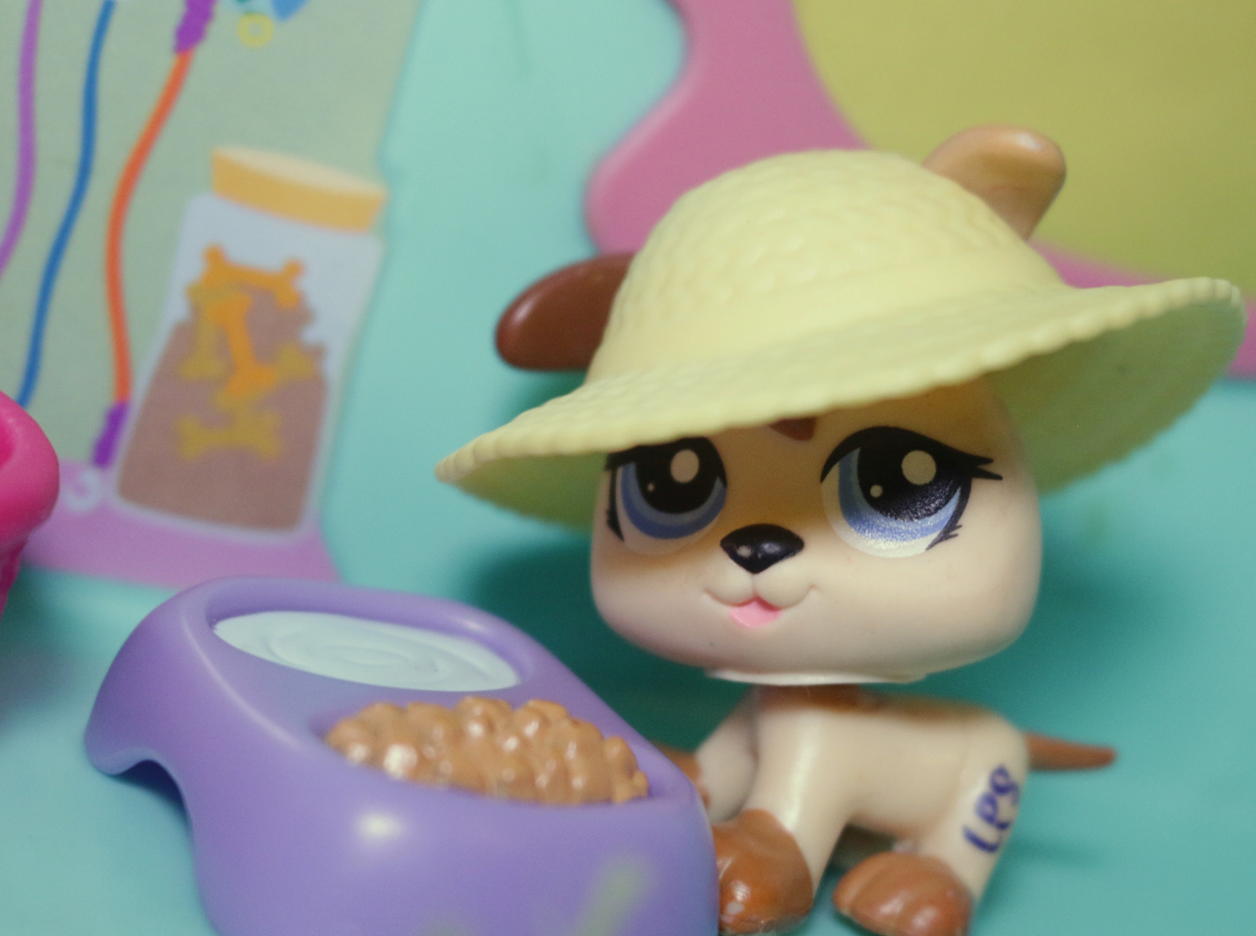 Pet Bowl