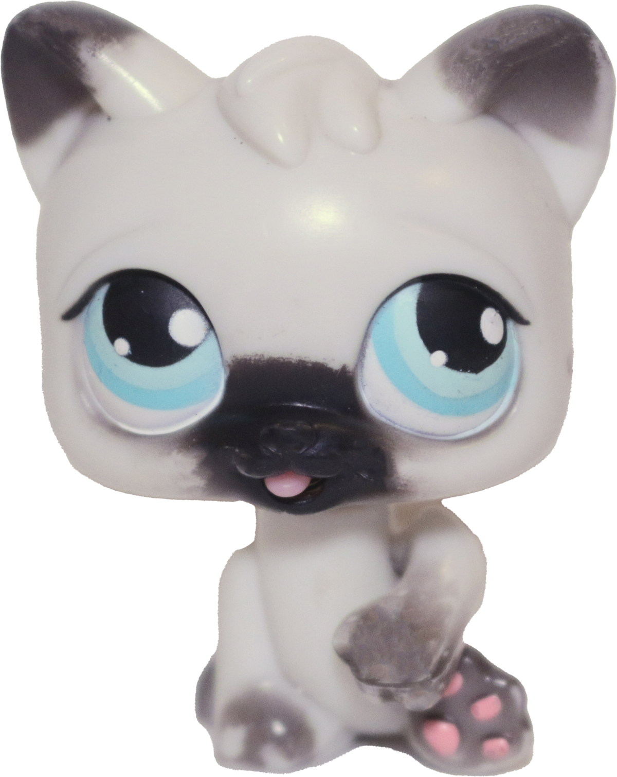 #PP1 Paw Up Cat