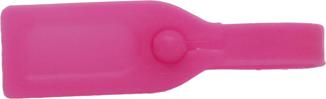 Travel Tag