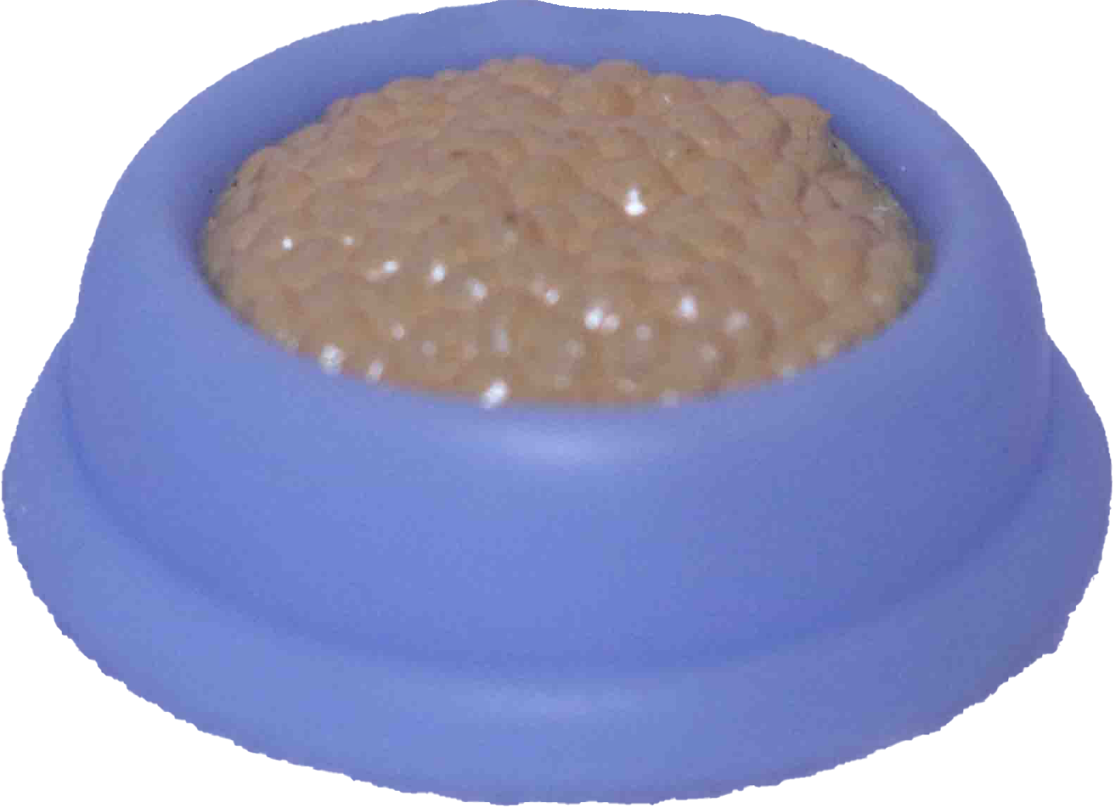 Pet Food Bowl