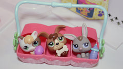 Petriplets Bed