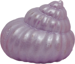 Seashell