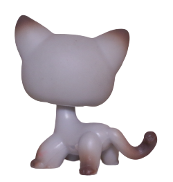 #0391 Shorthair Cat