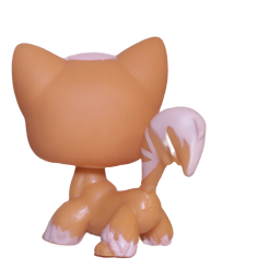 #0511 Angora Longhair Cat