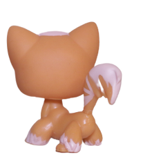 #0511 Angora Longhair Cat