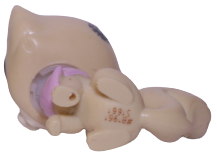 #3918 Persian Cat "Karey Cane"