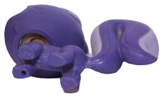 #2-S18 Skunk "Amethyst Skunky"