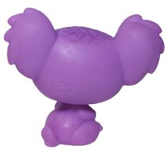 #40 Koala "Brisbane Aubergleam"