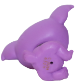 #40 Koala "Brisbane Aubergleam"