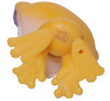 #2-50 Frog "Iggy Frogstein"