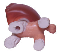 #1542 Collie