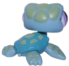 #1325 Sea Turtle