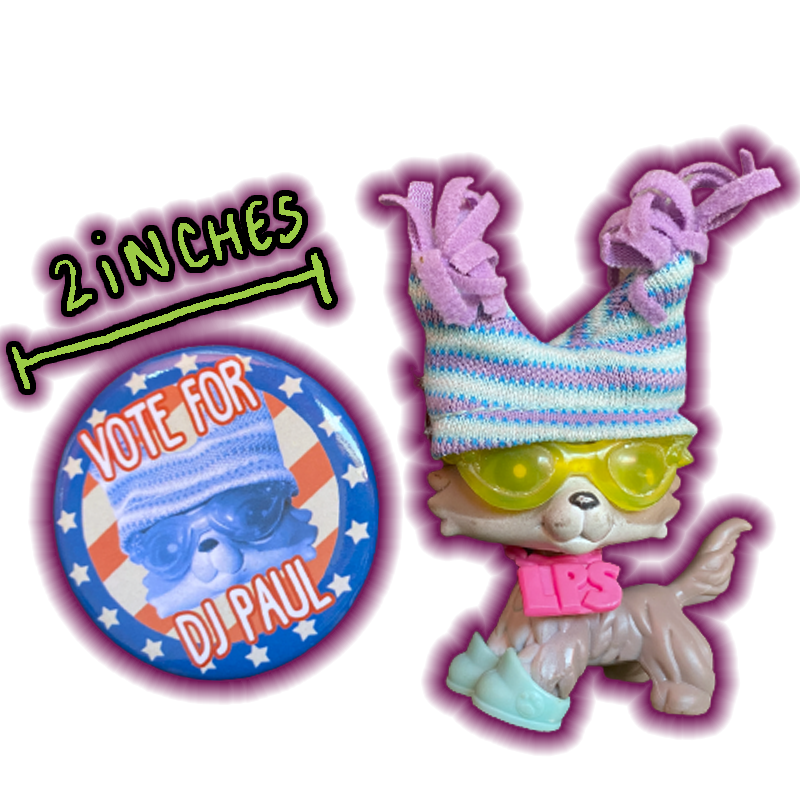 "Vote for DJ Paul" Button Pin