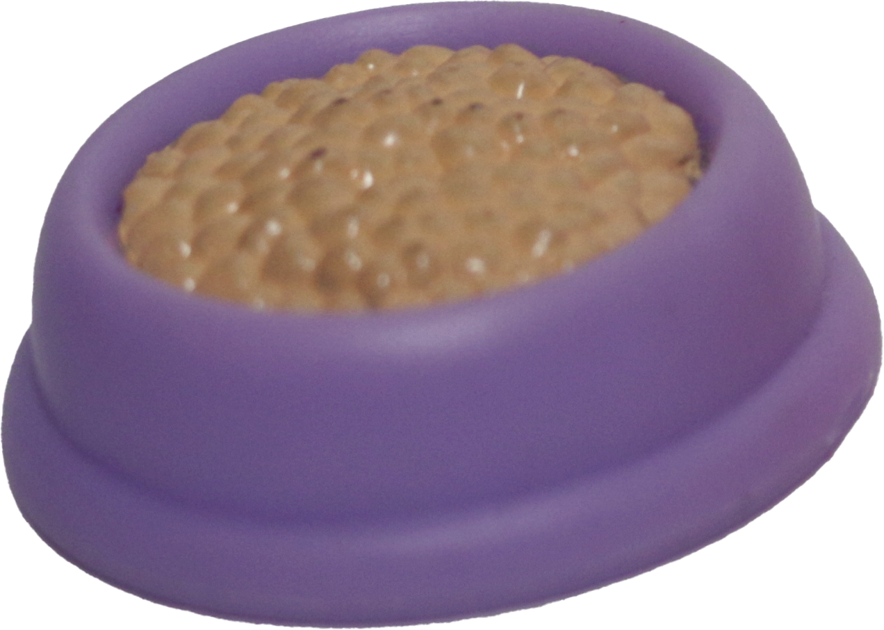 Pet Food Bowl