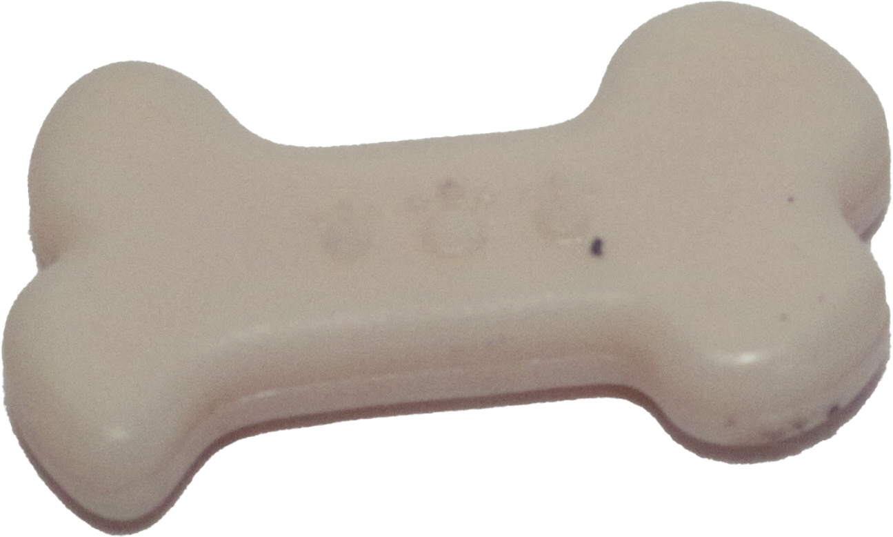 Bone Biscuit