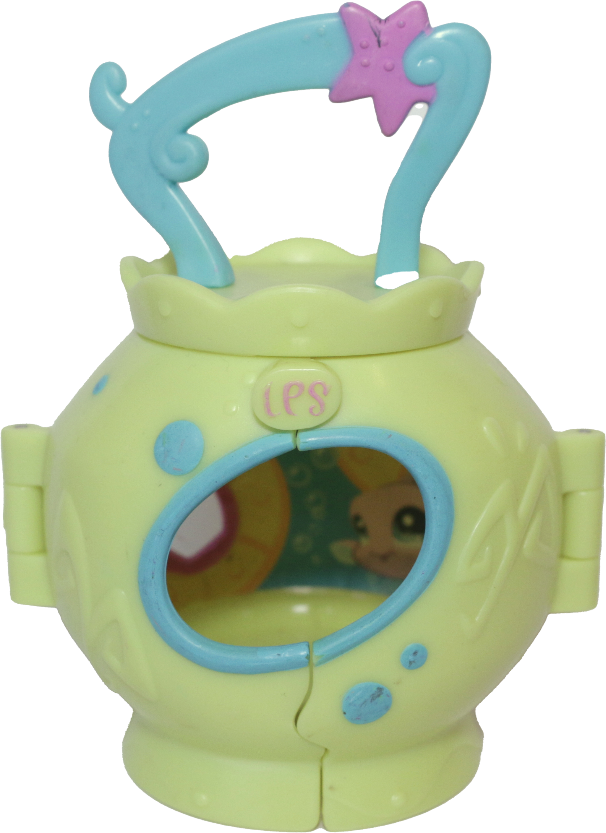 Snorkelin' Adventure Display