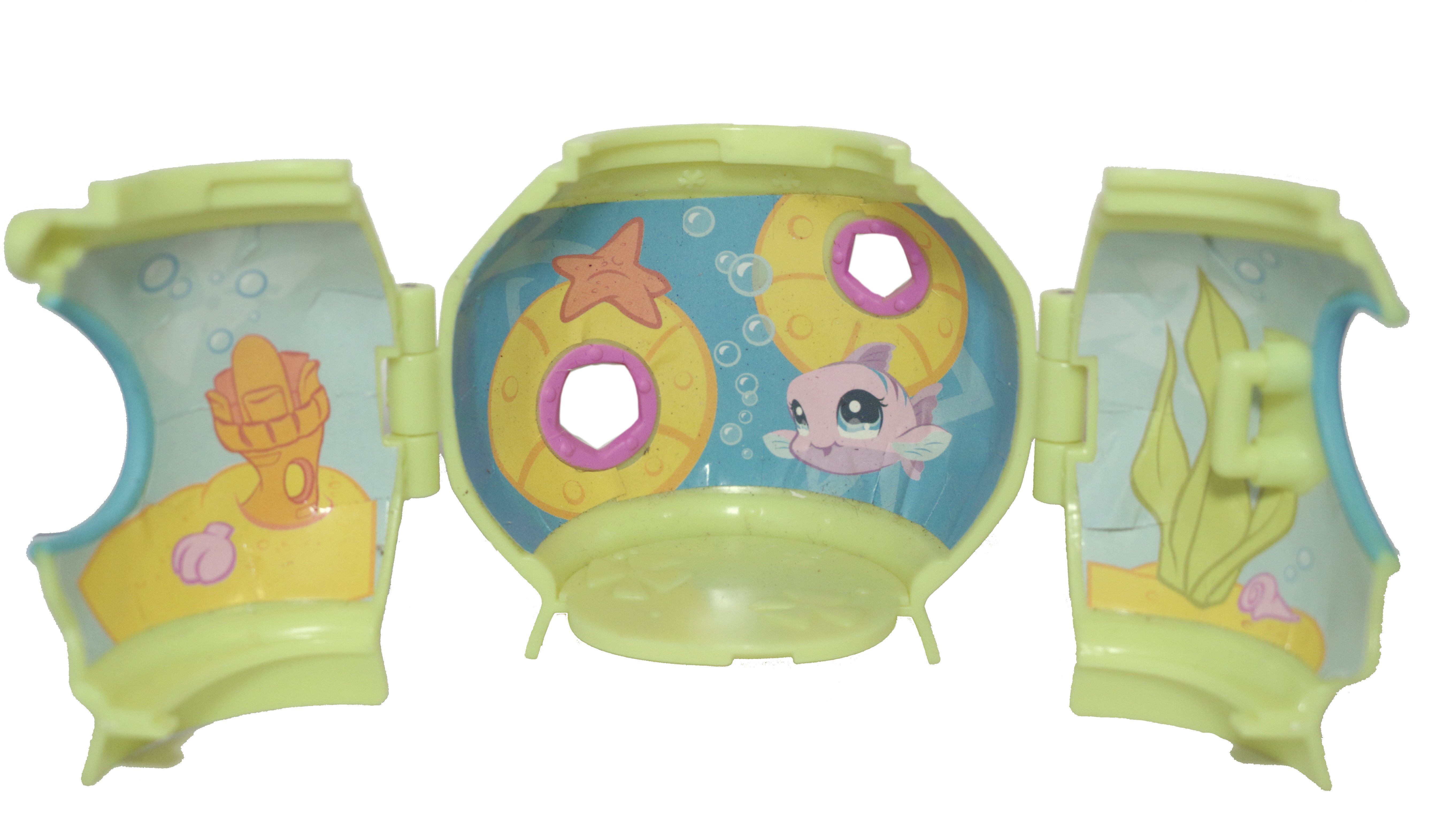 Snorkelin' Adventure Display