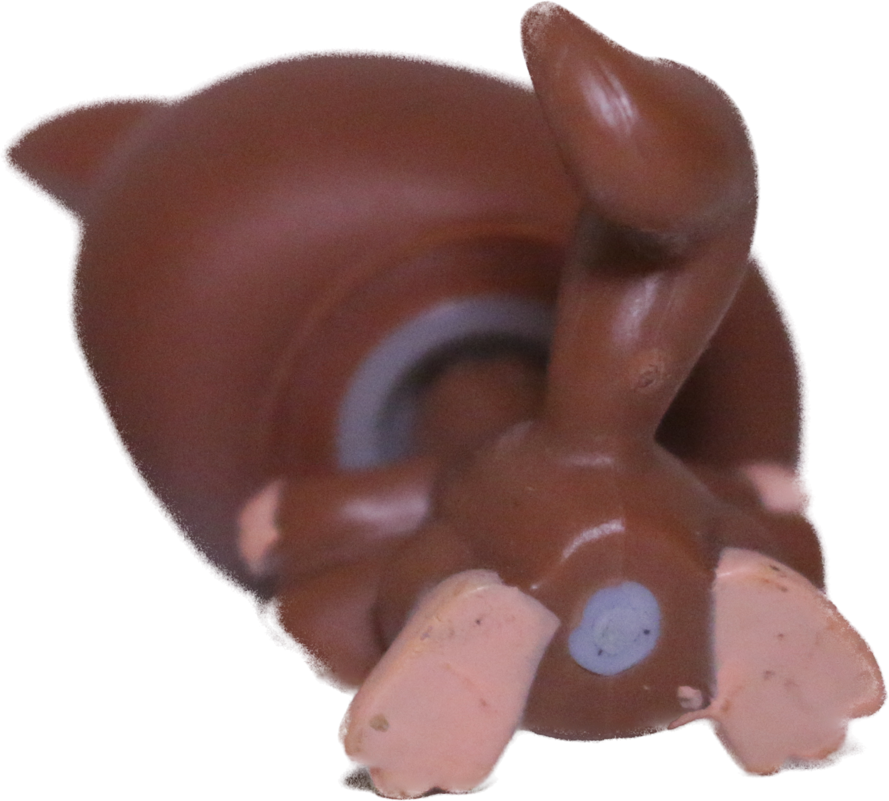 #0787/873 Sugar Glider