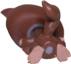 #0787/873 Sugar Glider