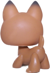 #0112 German Shepherd