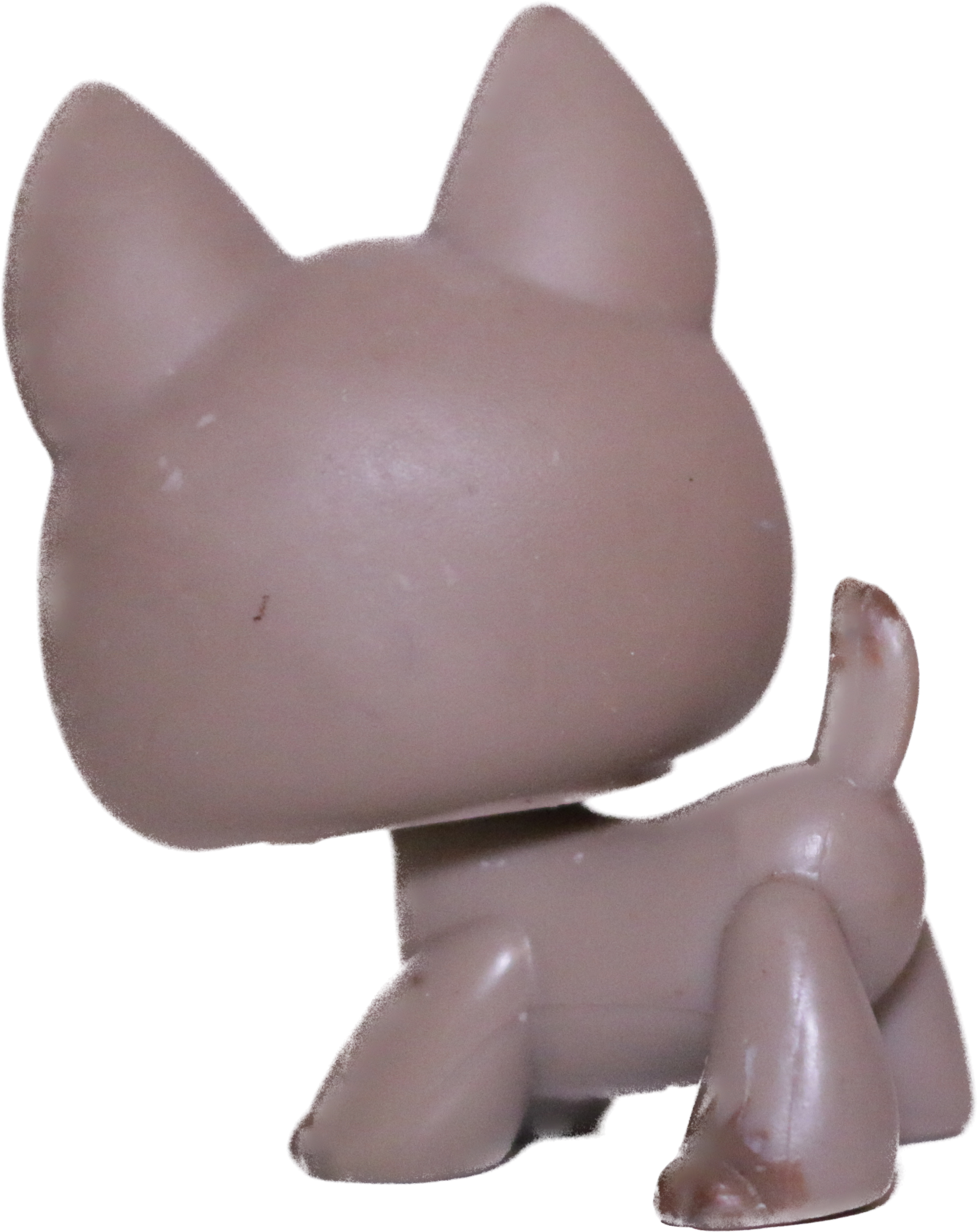 #0491 German Shepherd