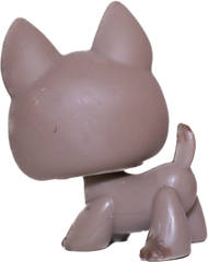 #0491 German Shepherd