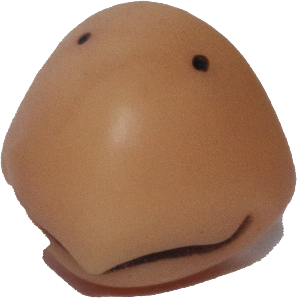 Costume Beak